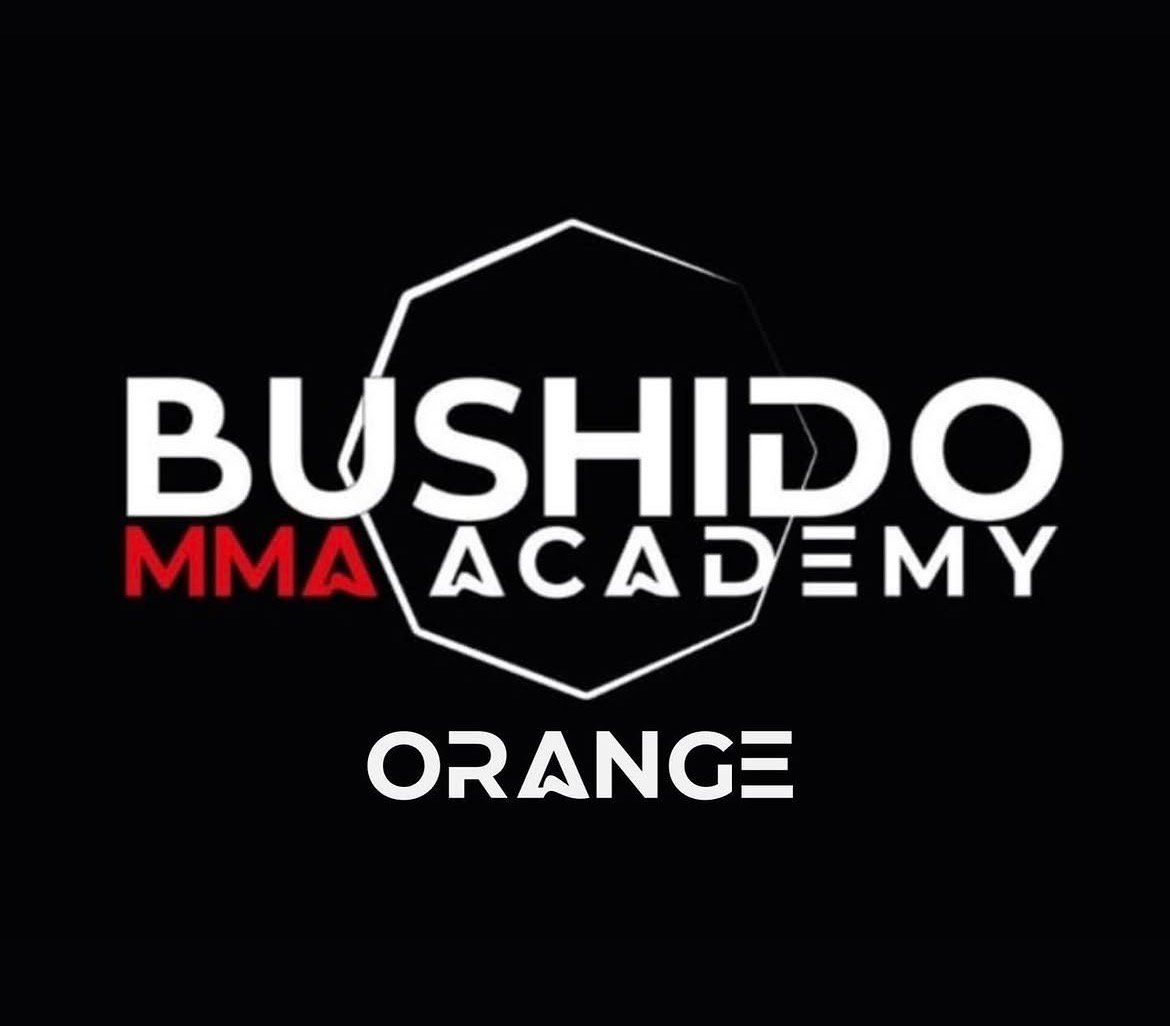 Bushido Academy Orange